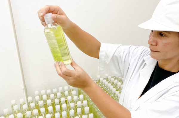 Principle Extra Treatment and Absolute Strength shampoos